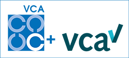 VCA SSVV